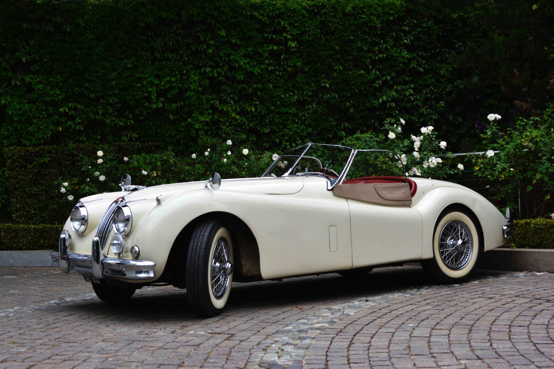 aldana-mendoza-Acg8dMNznk8-unsplash